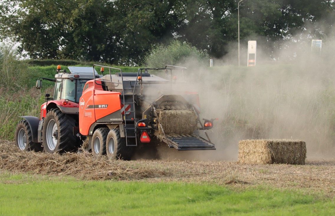 615ffcfeee36f_kuhn-sb-1270-x-tessemaker-in-het-riet2.jpg